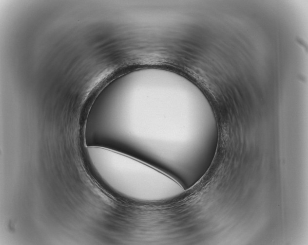 X0000094230535200710261015