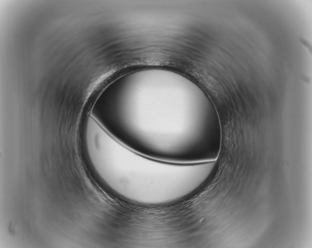 X0000094230536200710261015