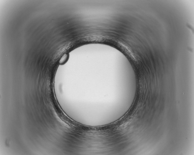 X0000094230538200710261015