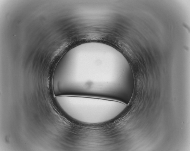 X0000094230539200710261016