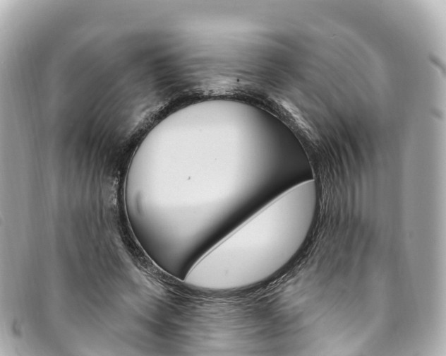 X0000094230543200710261016
