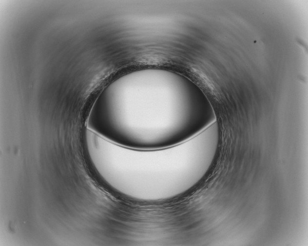 X0000094230544200710261016