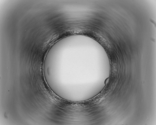 X0000094230545200710261016
