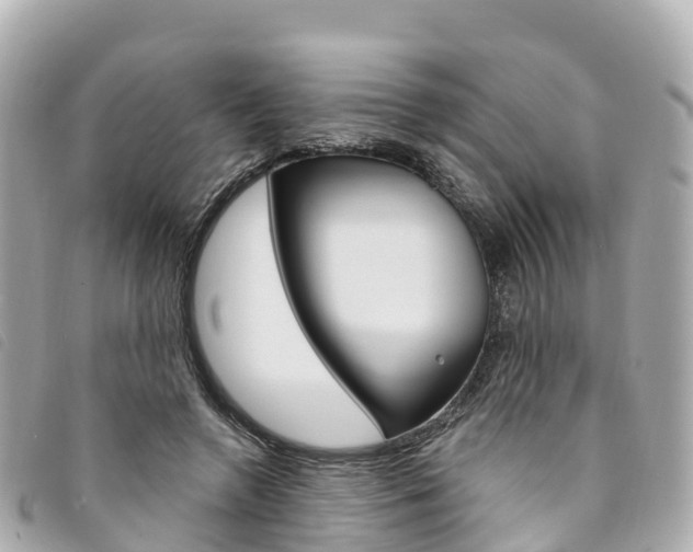 X0000094230546200710261016
