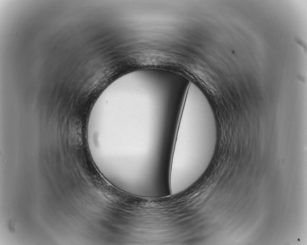 X0000094230547200710261016