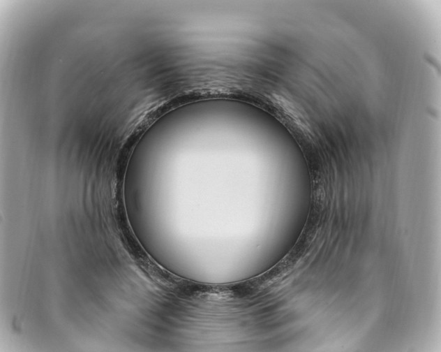 X0000094230548200710261016