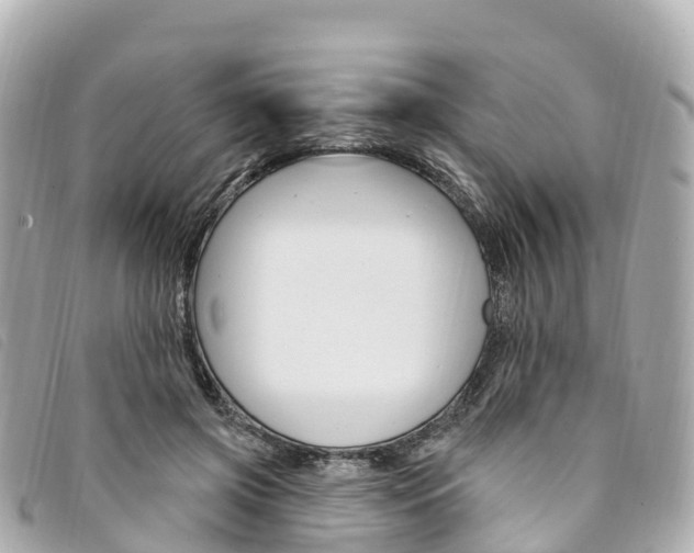 X0000094230549200710261016