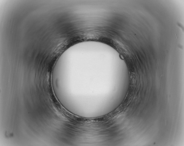 X0000094230550200710261016