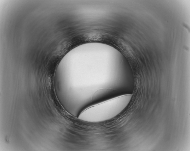 X0000094230551200710261016
