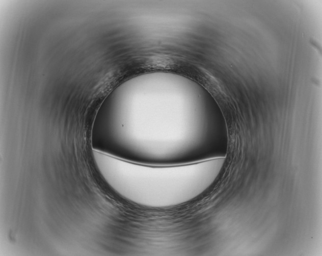 X0000094230552200710261016