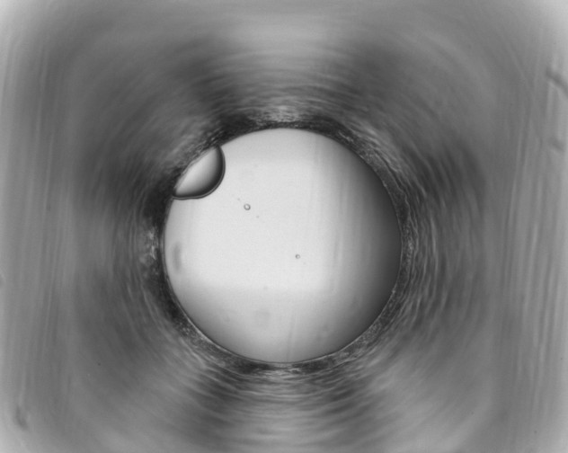X0000094230555200710261016
