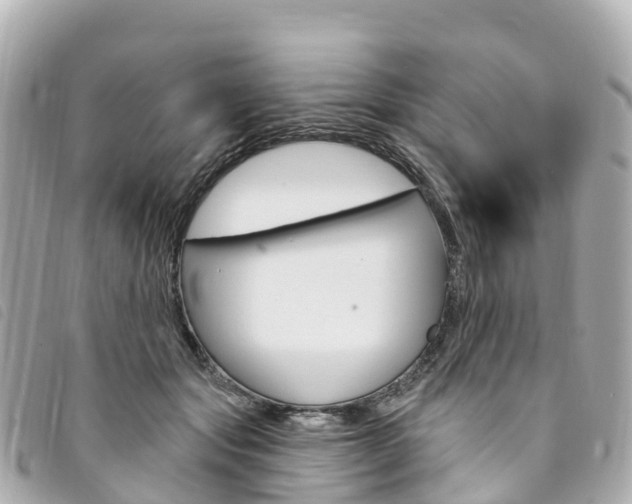 X0000094230557200710261016