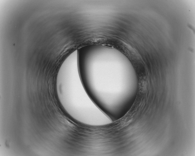 X0000094230558200710261016