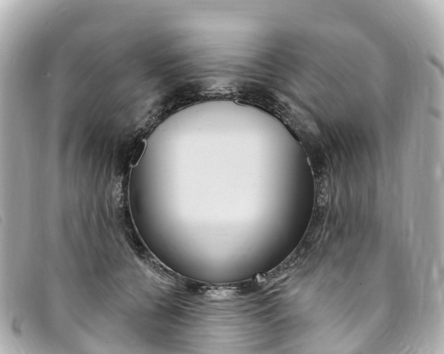 X0000094230560200710261016