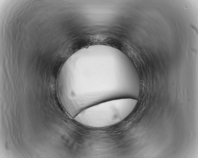 X0000094230561200710261016
