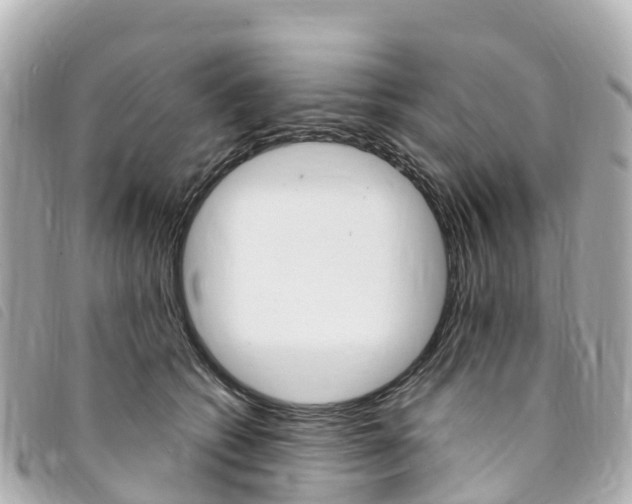 X0000094230562200710261016