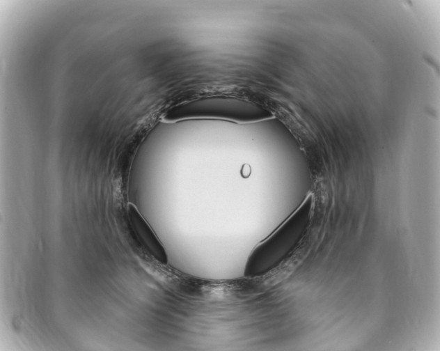 X0000094230564200710261016
