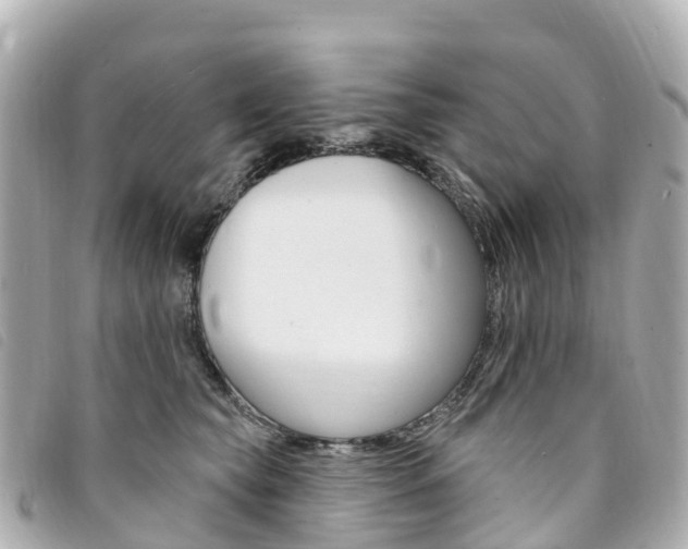 X0000094230565200710261016