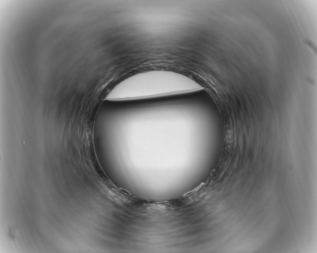 X0000094230572200710261016