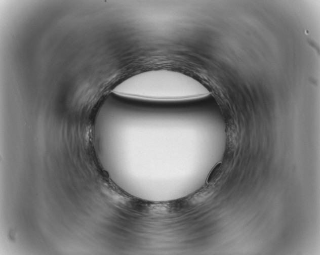 X0000094230574200710261016