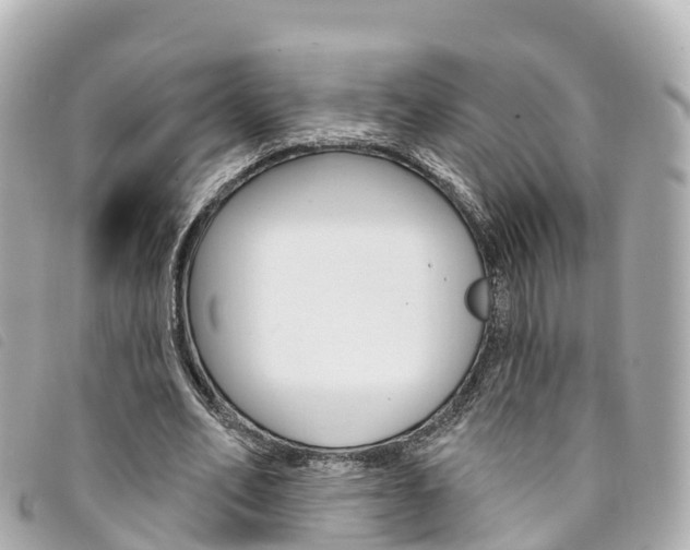 X0000094230582200710261015
