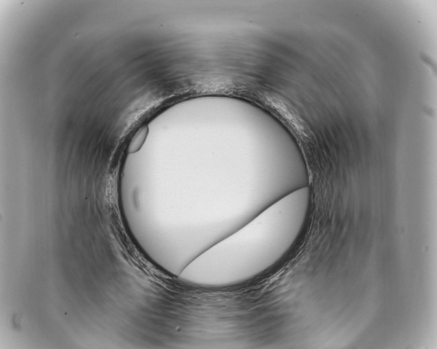 X0000094230583200710261015