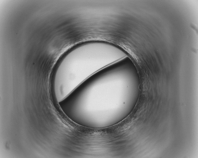 X0000094230584200710261015