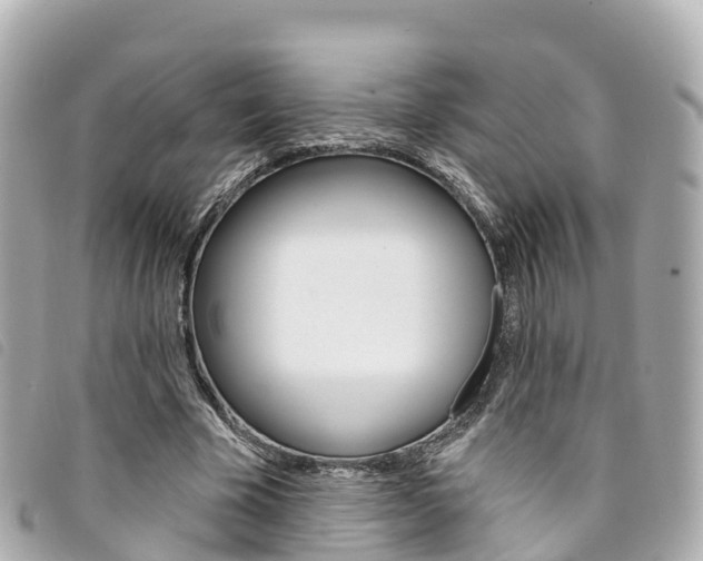 X0000094230585200710261015