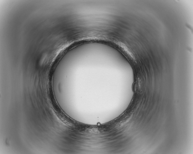 X0000094230588200710261015