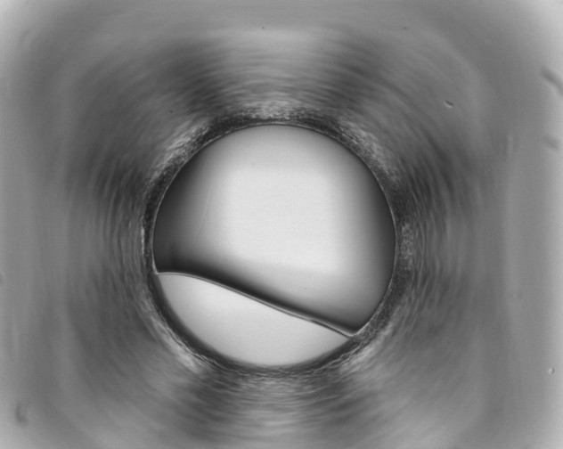 X0000094230589200710261015