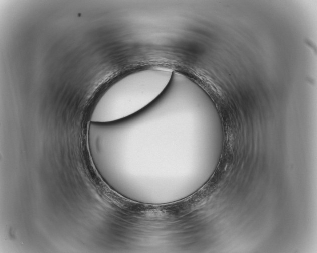 X0000094230591200710261015