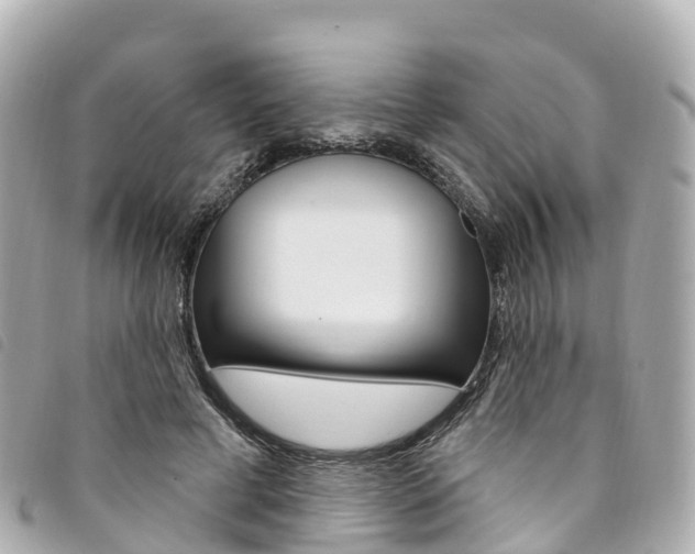 X0000094230593200710261015