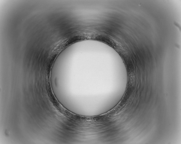 X0000094230594200710261015