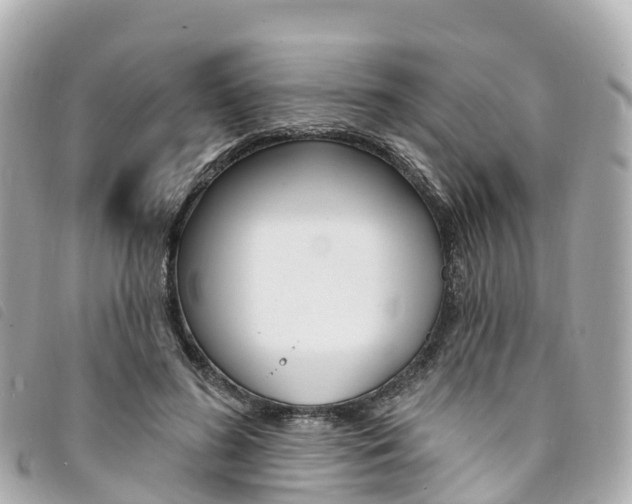 X0000094230596200710261015