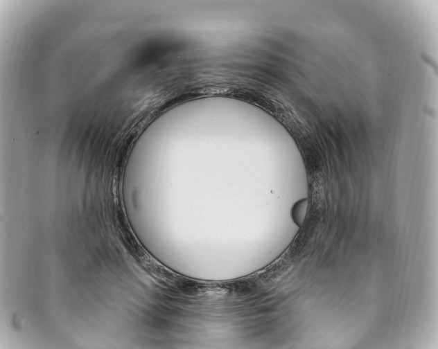 X0000094230598200710261015