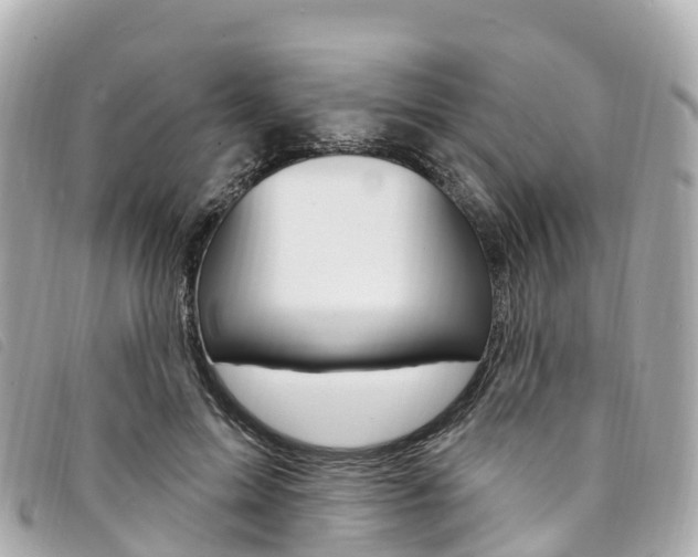 X0000094230599200710261015