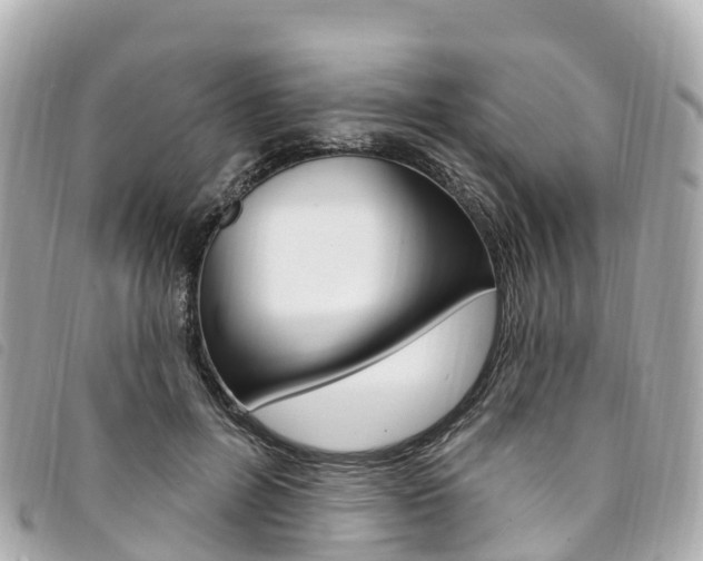X0000094230600200710261015