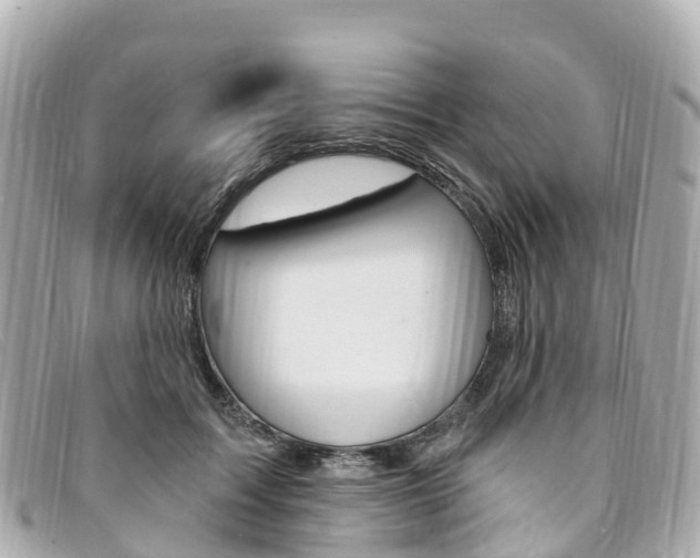 X0000094230603200710261015