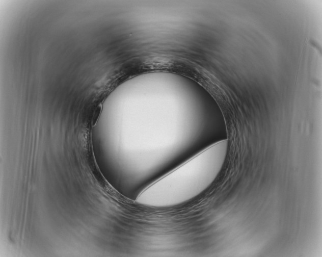 X0000094230604200710261015