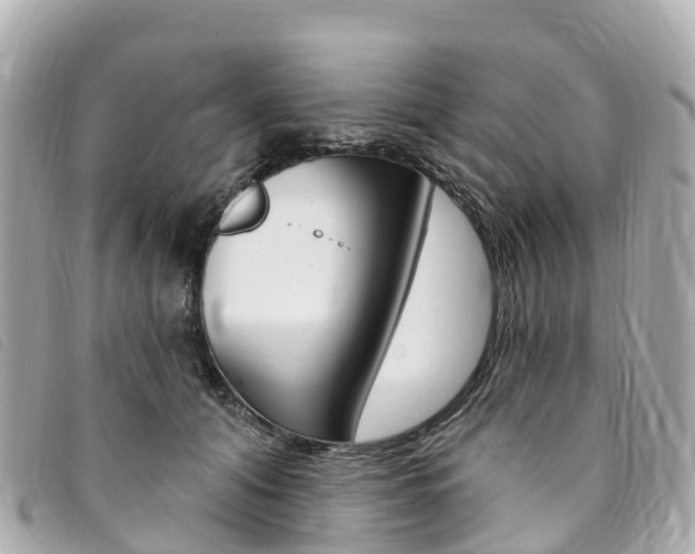 X0000094230608200710261015