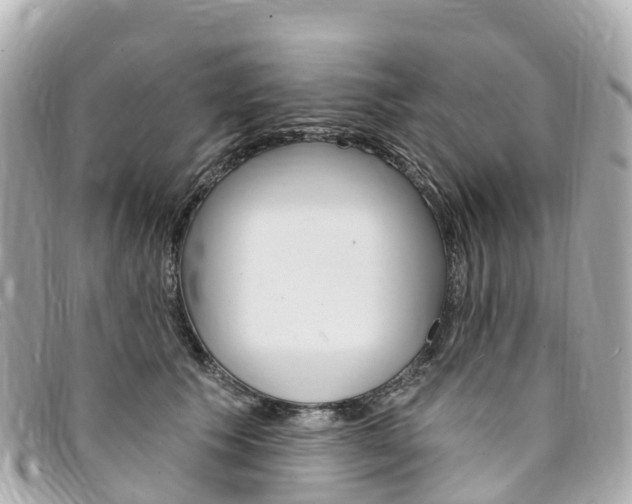 X0000094230609200710261015