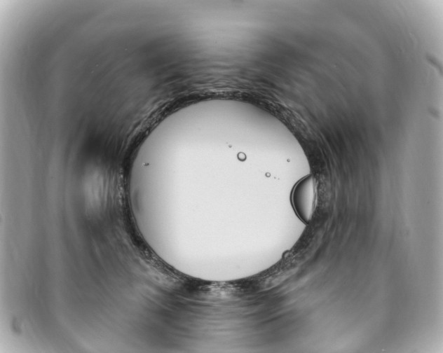 X0000094230612200710261015