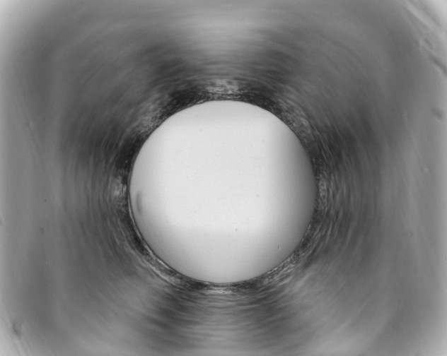 X0000094230614200710261015