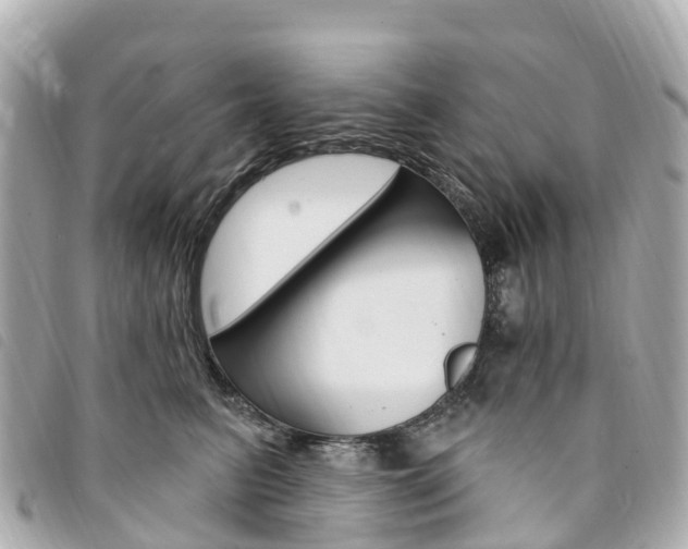 X0000094230615200710261015