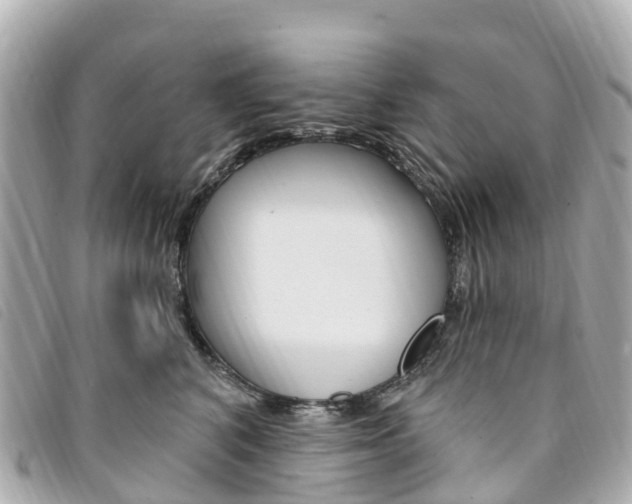 X0000094230616200710261015