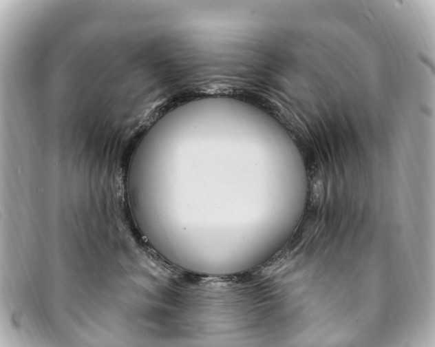 X0000094230620200710261015