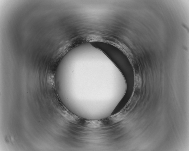 X0000094230621200710261015