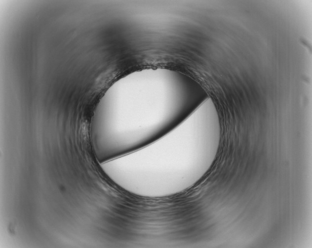 X0000094230623200710261015