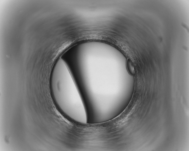 X0000094230625200710261014