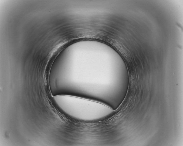 X0000094230628200710261014